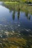 Firehole River.jpg
